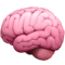brain_1f9e0 brain_1f9e0